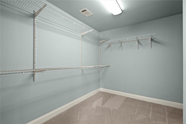 spacious closet featuring carpet flooring