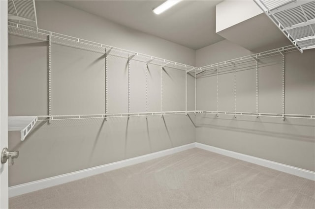 spacious closet with carpet flooring