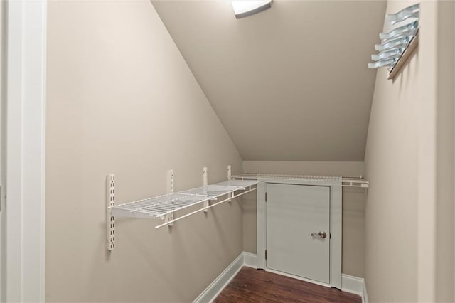 spacious closet featuring dark wood-type flooring