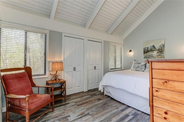 125 Wolfscratch Dr, Big Canoe, GA 30143 - bedroom featuring wood finished floors and multiple closets
