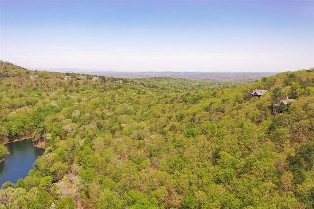 125 Wolfscratch Dr, Big Canoe, GA 30143 - drone / aerial view of a heavily wooded area and a nearby body of water