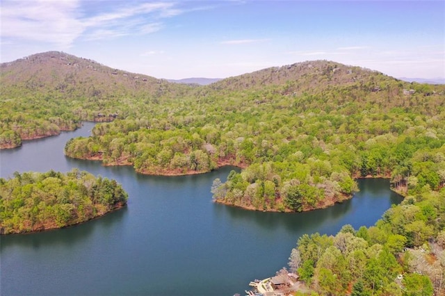 125 Wolfscratch Dr, Big Canoe, GA 30143 - aerial view of a water and mountain view