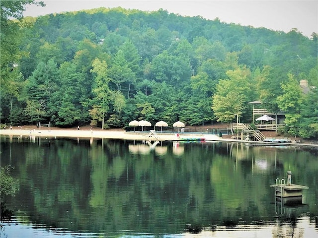 125 Wolfscratch Dr, Big Canoe, GA 30143 - water view featuring a heavily wooded area