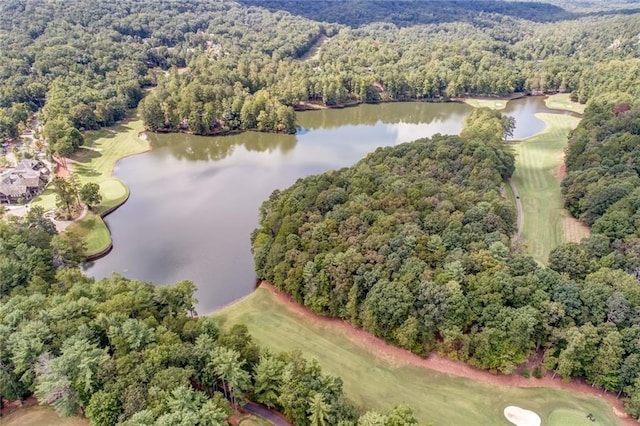 125 Wolfscratch Dr, Big Canoe, GA 30143 - drone / aerial view of a large body of water and a golf club