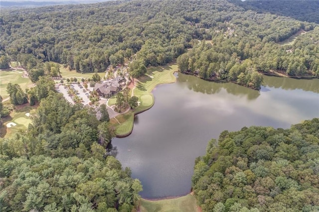 125 Wolfscratch Dr, Big Canoe, GA 30143 - view of property location with a heavily wooded area and a large body of water
