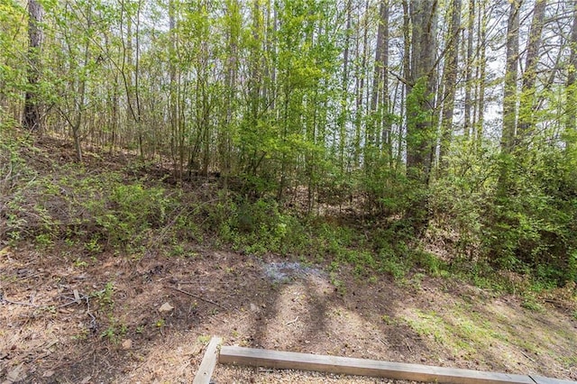 3821 Paul Samuel Rd NW, Kennesaw, GA 30152 - view of landscape with a wooded view