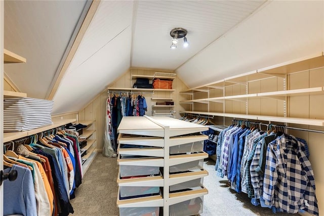 3707 Dunwoody Club Dr, Atlanta, GA 30350 - spacious closet featuring carpet and vaulted ceiling