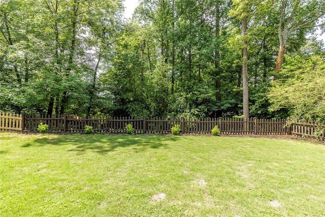 3707 Dunwoody Club Dr, Atlanta, GA 30350 - view of yard