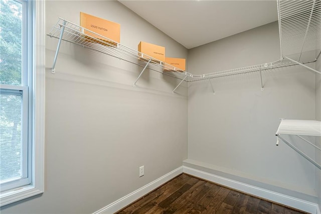 875 Soaring Cir, Marietta, GA 30062 - spacious closet featuring dark wood-style floors