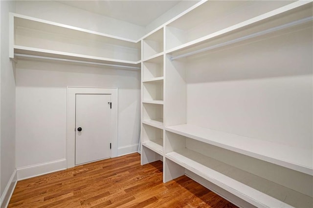 walk in closet with wood finished floors