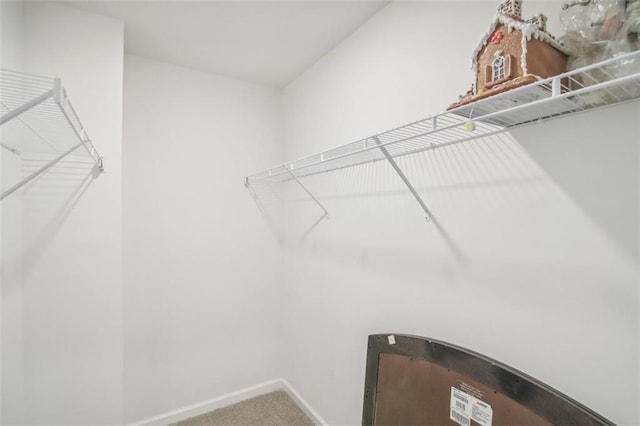 spacious closet featuring carpet flooring