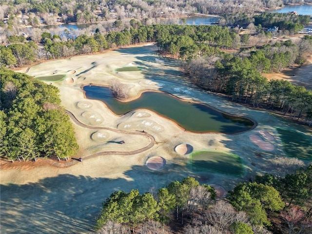 birds eye view of property with a water view and a wooded view