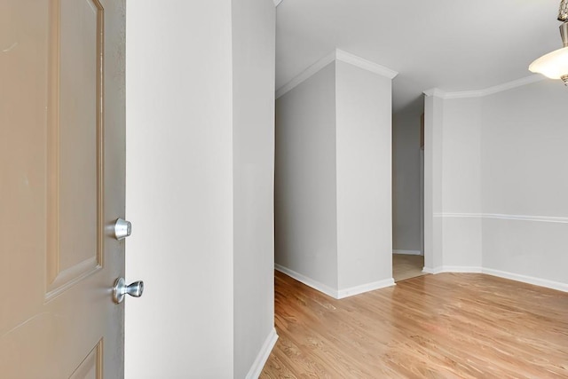 interior space featuring crown molding and light wood-type flooring