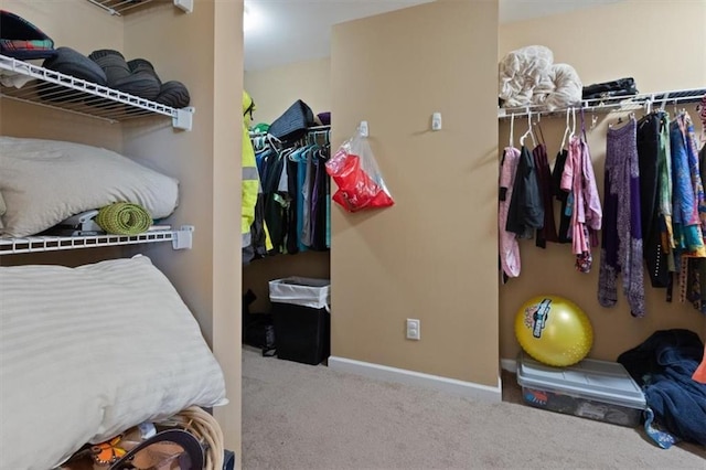211 Parc Dr, Canton, GA 30114 - spacious closet with carpet