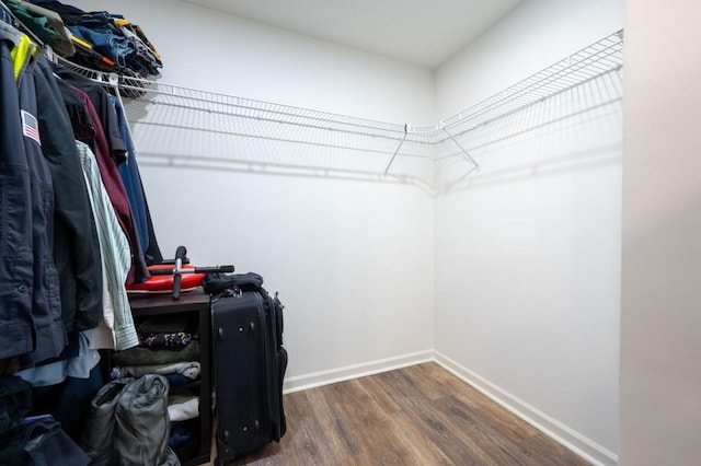 spacious closet with hardwood / wood-style flooring