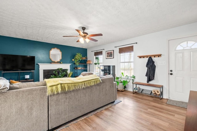 living room featuring wood-type flooring, ceiling fan, and a textured ceiling