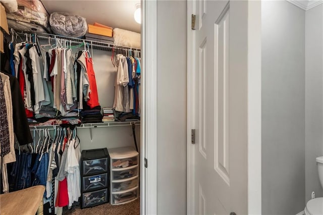 walk in closet with carpet flooring