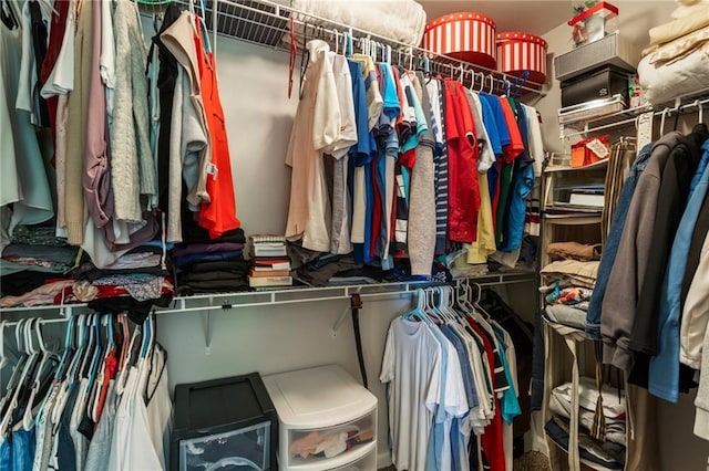 view of spacious closet