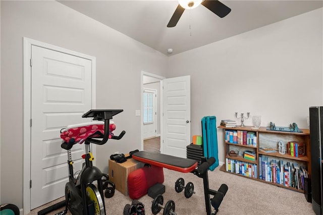 workout area featuring ceiling fan and carpet