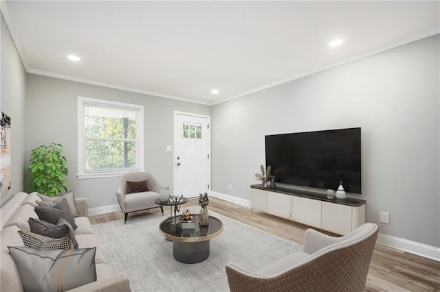 living room featuring light wood-type flooring and crown molding