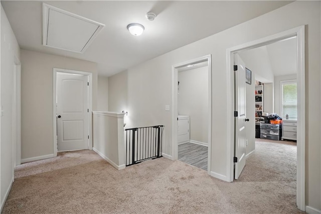 corridor with baseboards, carpet, and attic access