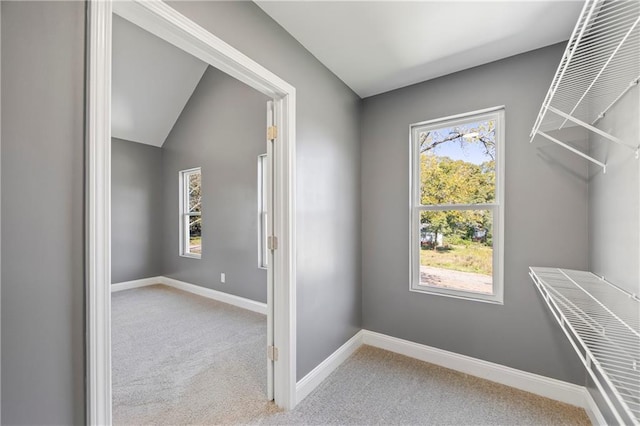 spacious closet featuring lofted ceiling and light carpet