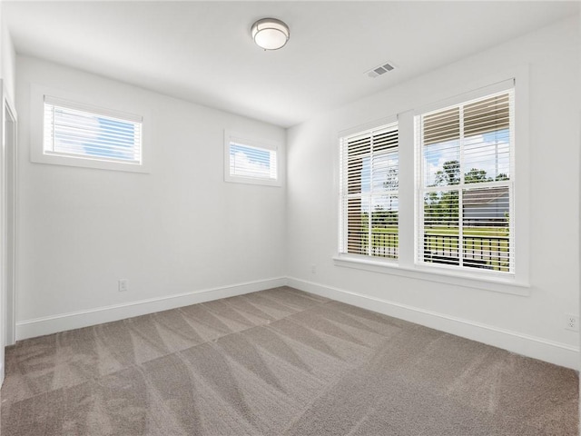 carpeted spare room with a wealth of natural light