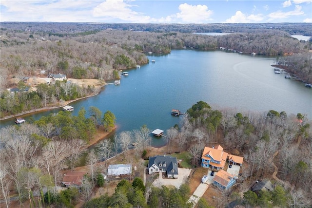 4777 Destitute Way, Gainesville, GA 30506 - aerial view of property's location with a forest and a large body of water