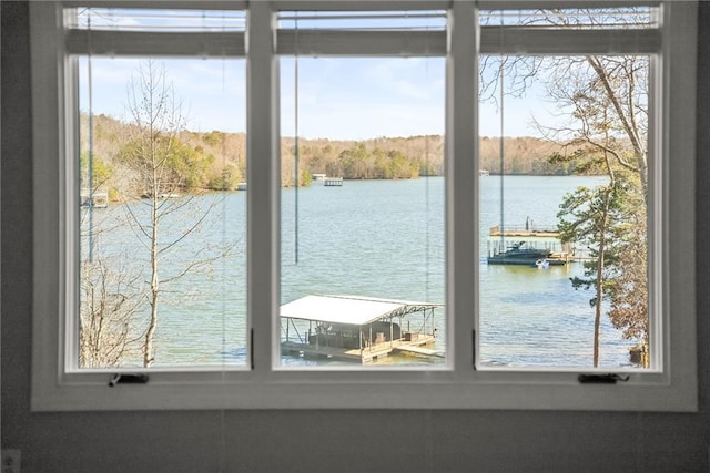 4777 Destitute Way, Gainesville, GA 30506 - water view