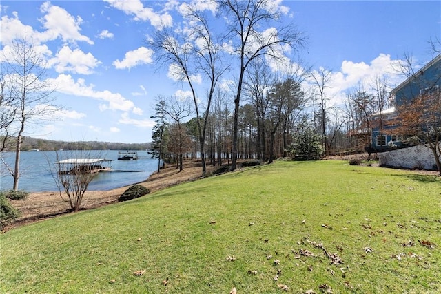 4777 Destitute Way, Gainesville, GA 30506 - view of grassy yard featuring a water view