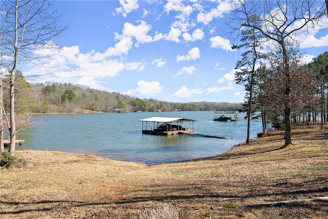 4777 Destitute Way, Gainesville, GA 30506 - dock featuring a water view and a wooded view