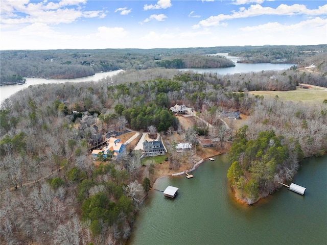 4777 Destitute Way, Gainesville, GA 30506 - aerial view of property and surrounding area featuring a nearby body of water and a forest