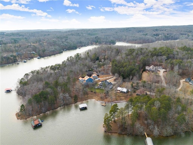 4777 Destitute Way, Gainesville, GA 30506 - aerial overview of property's location featuring a heavily wooded area and a nearby body of water