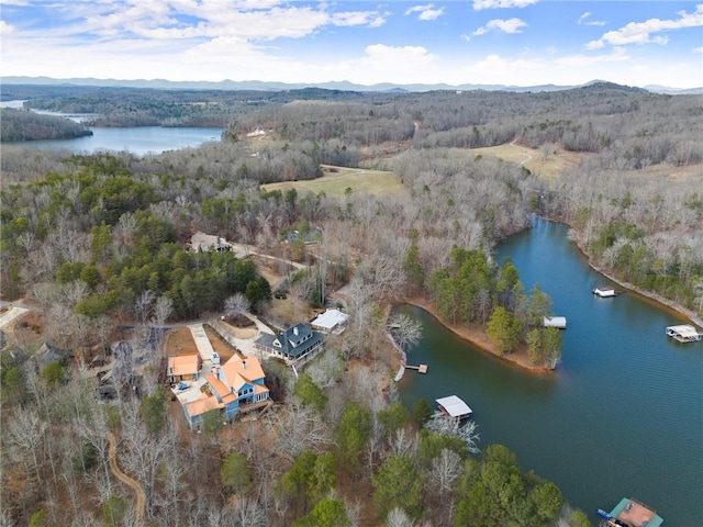 4777 Destitute Way, Gainesville, GA 30506 - view of property location with a water and mountain view and a heavily wooded area