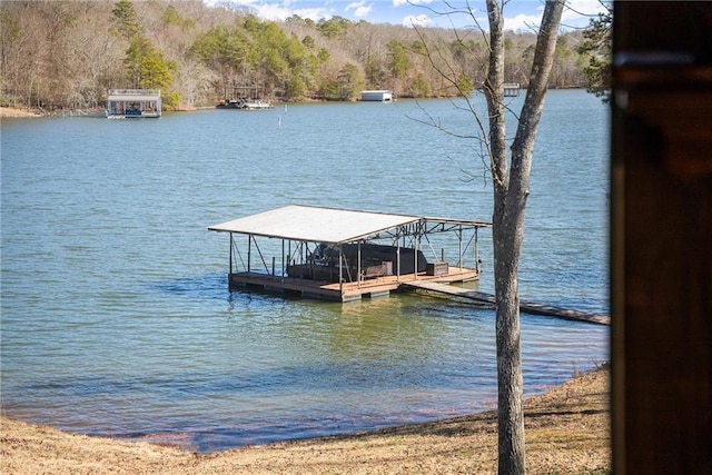 4777 Destitute Way, Gainesville, GA 30506 - dock area with a water view