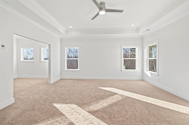 spare room with ornamental molding, light carpet, and a tray ceiling