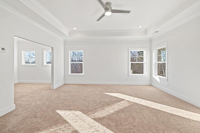 spare room featuring crown molding, a tray ceiling, and light colored carpet