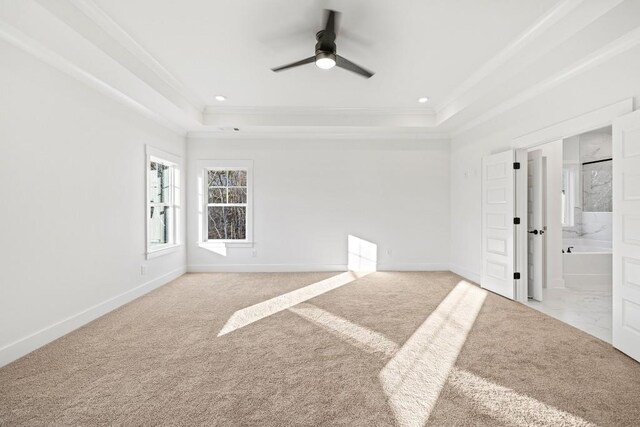 empty room with ornamental molding, a raised ceiling, and light carpet