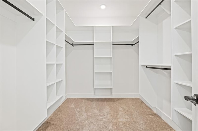 spacious closet with carpet