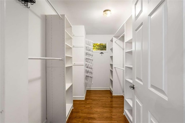 walk in closet with wood finished floors