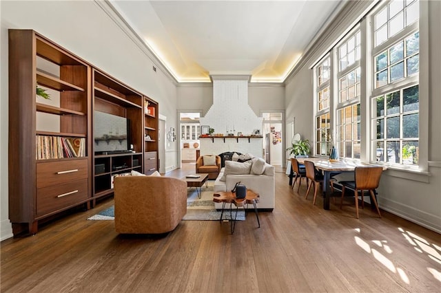 living area with a raised ceiling, plenty of natural light, wood finished floors, and baseboards