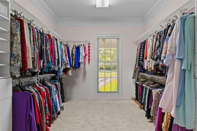 walk in closet featuring carpet