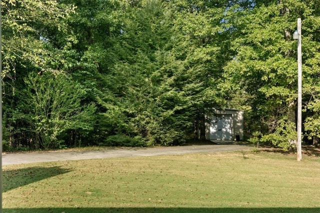 view of yard featuring an outdoor structure