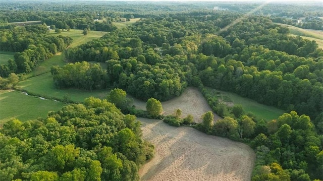 drone / aerial view featuring a rural view