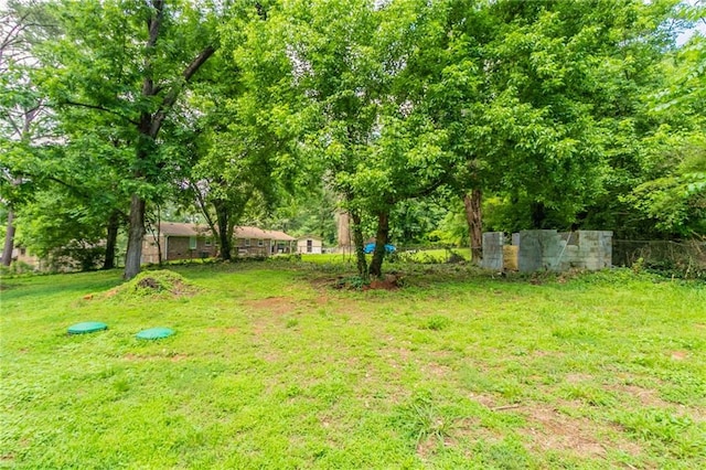 4078 Bouldercrest Rd, Ellenwood, GA 30294 - view of yard