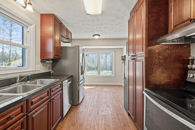 kitchen with appliances with stainless steel finishes, range hood, sink, and plenty of natural light