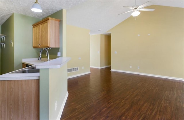 3971 Canebrake Ln, Douglasville, GA 30134 - kitchen with lofted ceiling, dark wood-style flooring, open floor plan, a ceiling fan, and light countertops