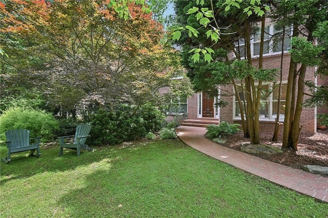 view of grassy yard