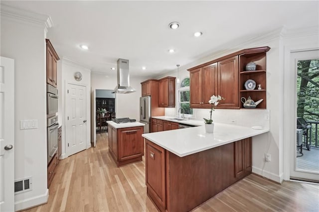 kitchen featuring island exhaust hood, stainless steel appliances, a sink, a peninsula, and light wood-type flooring