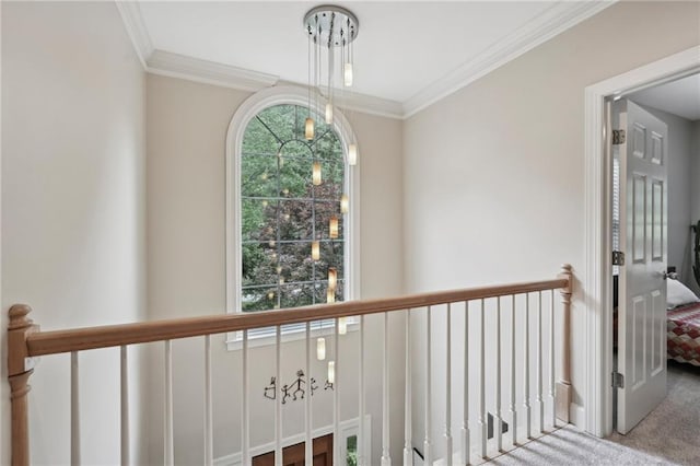 corridor with carpet floors and crown molding